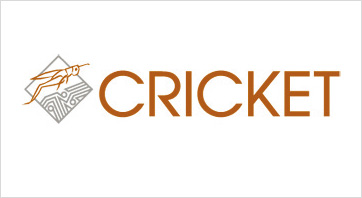 case-study-logo-cricket-2-362x198