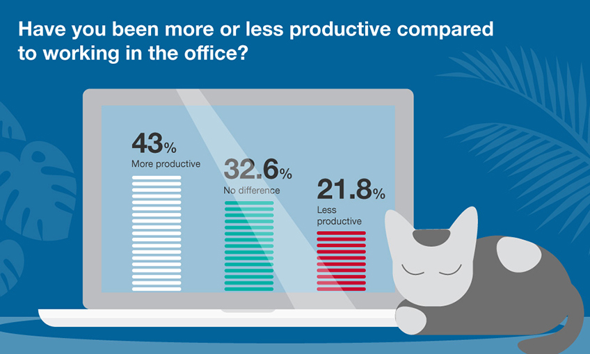 Have you been more or less productive compared to working in the office