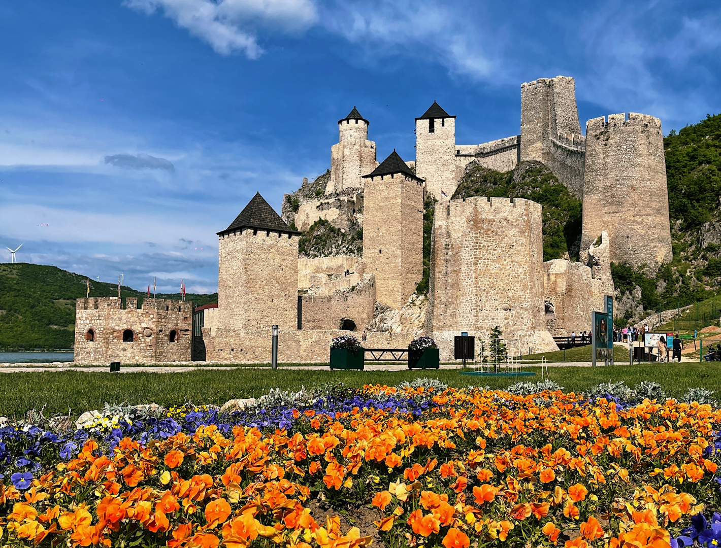 Travel photography of castle and flowers